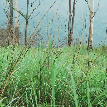 T Cherry Villa Munnar Zewnętrze zdjęcie